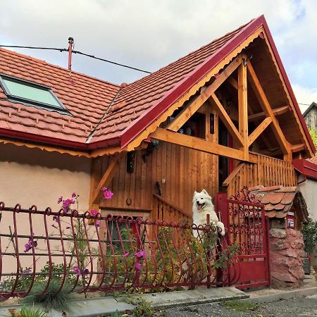 Gite Du Durrenbach Lautenbach Zewnętrze zdjęcie