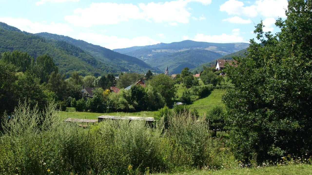 Gite Du Durrenbach Lautenbach Zewnętrze zdjęcie