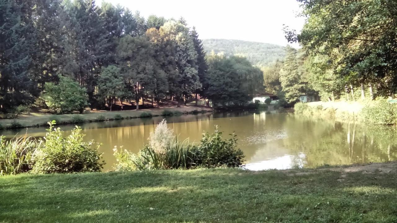 Gite Du Durrenbach Lautenbach Zewnętrze zdjęcie